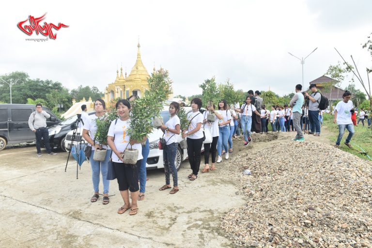 ကမၻာေျမႀကီးကို အေမြေပးဖုိ႔ သစ္ပင္စုိက္ပ်ဳိးၾကတဲ့အႏုပညာရွင္မ်ား