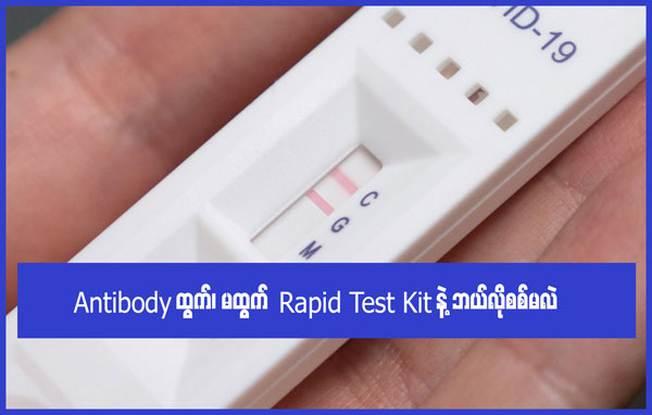 Antibody ထွက်၊မထွက် Rapid Test Kit နဲ့ ဘယ်လိုစစ်မလဲ