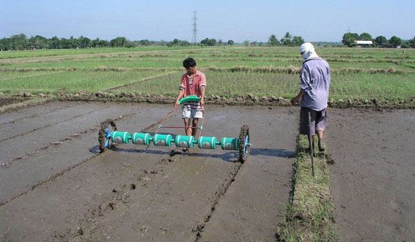 နေပြည်တော်တွင် ယခုနှစ် မိုးစပါး စိုက်ပျိုးစရိတ်ချေးငွေကျပ်သန်း ၁၆၀၅ ဒသမ ၉ သန်း ထုတ်ချေးပေးထားပြီး ရာခိုင်နှုန်းအားဖြင့် ၈ ရာခိုင်နှုန်းသာ ရှိ