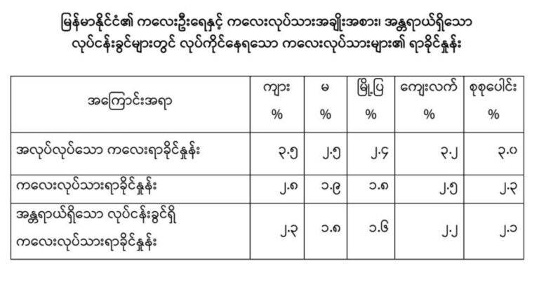 မြန်မာနိုင်ငံတွင် အန္တရာယ် ရှိသော လုပ်ငန်းခွင် အတွင်း အလုပ်လုပ်နေသော ကလေ းလုပ်သား ဒသမ ၂၅ သန်း ရှိနေ