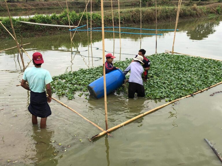 ရေဆင်းငါးလုပ်ငန်းစခန်းမှ ငါးမျိုးစိတ် ၁၂ မျိုးကို သားဖောက်ထုတ်လုပ်ပေးနေ