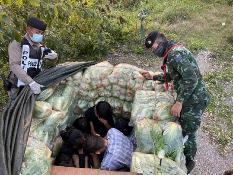 ဟင်းသီးဟင်းရွက်များတင်လာသည့် ကားအ တွင်းပုန်းခိုလိုက်ပါလာသည့် မြန်မာနိုင်ငံသားများဖမ်းဆီးခံရ