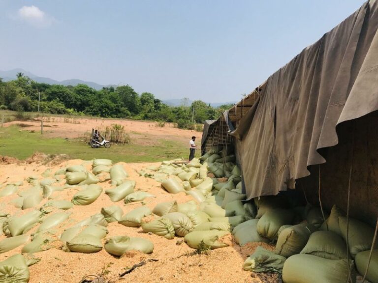 အာရှလမ်းမကြီးရှိ ကော့နွဲ့ကွေ့တွင် ပြောင်းဆန်တင်တွဲကားအရှိန်လွန်တိမ်းမှောက် ၂ ဦးထိခိုက်