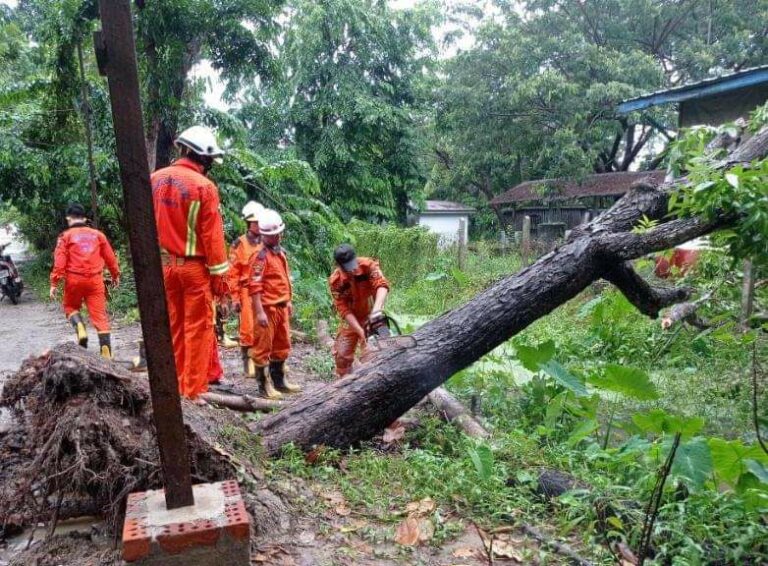 ရန်ကုန်တိုင်းရှိ မြို့နယ်အချို့တွင် လေ ပြင်းတိုက်ခတ်ကာမိုးသည်းထန်စွာရွာ သွန်း၍ သစ်ပင်များပြိုလဲခဲ့