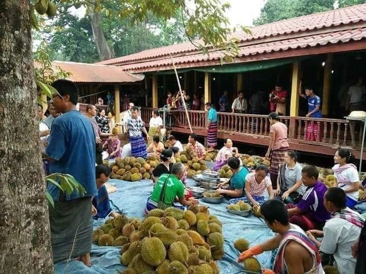 နှစ်ပေါင်း ၅၀ ရွှေရတုတိုင်ခဲ့ပြီဖြစ်တဲ့ ဒူးရင်းသီးစတုဒိသာစားပွဲတော်ကို ဒီနေ့ လောင်းကိုင်(ကြာအင်း)ရွာမှာပြုလုပ်ခဲ့