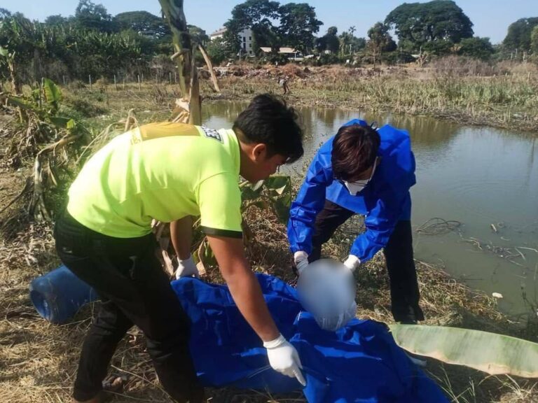 မုံရွာမြို့ရှိ အင်းစပ်အတွင်း စွန့်ပစ်ထားသောမွေးကင်းစကလေးအလောင်းတွေ့ရှိ