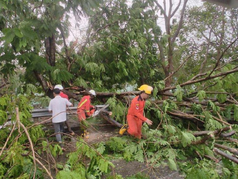 ချိန်ခါမဟုတ်မိုးရွာသွန်း၍ မင်္ဂလာတောင်ညွှန့်၊သင်္ဃန်းကျွန်းနှင့်ဒဂုံမြို့သစ်(အရှေ့ပိုင်း)မြို့နယ်တို့တွင် သစ်ပင်များလဲကျ