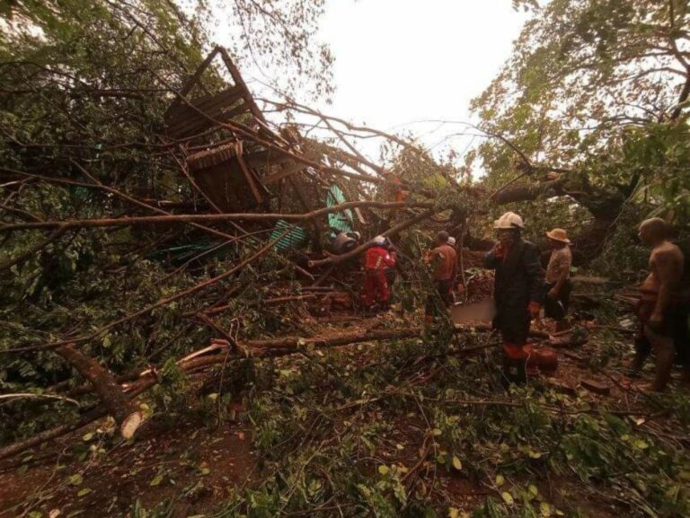 ညောင်လေးပင်တွင် ဘုန်းကြီးကျောင်းပေါ် ကုက္ကိုပင်လဲကျ၍ အမျိုးသမီး (၁) ဦးသေဆုံးကာ သီလရှင် တစ်ပါးနှင့် အမျိုးသား(၂) ဦးဒဏ်ရာရ