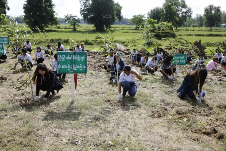 Max Highway ကုမ္ပဏီမှ ကာဗွန်ဒိုင်အောက်ဆိုဒ်လျှော့ချနိုင်ရန်ရည်ရွယ်၍အပင်ပေါင်း (၈၀၀၀)ကျော် စိုက်ပျိုးခဲ့