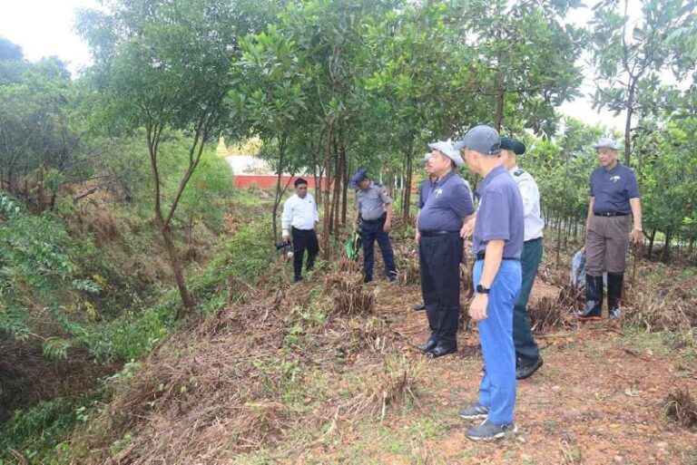 မွန်ကမ်းရိုးတန်းဒေသများတွင် လေပြင်းဒဏ်ခံနိုင်ရန်လေကာပင် (၁၀,၀၀၀)ကျော် စိုက်ပျိုးမည်