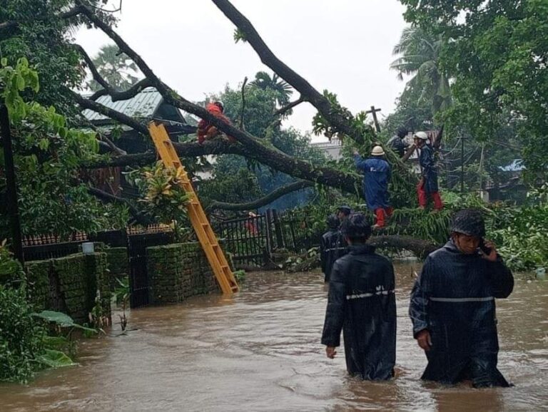 ဘီးလင်းတွင် မိုးသည်းထန်စွာရွာသွန်းမှုကြောင့် နေအိမ်(၃) လုံးပေါ် ကုက္ကိုလ်ပင် လဲကျမှုဖြစ်ပွား