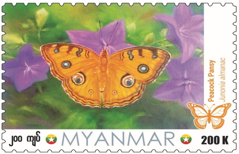 “Peacock Pansy ” လိပ်ပြာပုံ (၂၀၀) ကျပ်တန် စာပို့တံဆိပ်ခေါင်းသစ်များ ဇူလိုင် (၃၁) ရက်တွင် ရောင်းချမည်