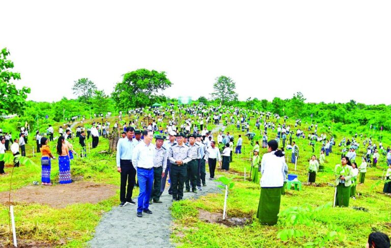 သစ်ပင်စိုက်ပျိုးပွဲ ၁၅၀၂ ကြိမ်တွင် ပျိုးပင်ပေါင်း ၁,၀၈၈,၀၀၀ ကျော် စိုက်ပျိုးခဲ့