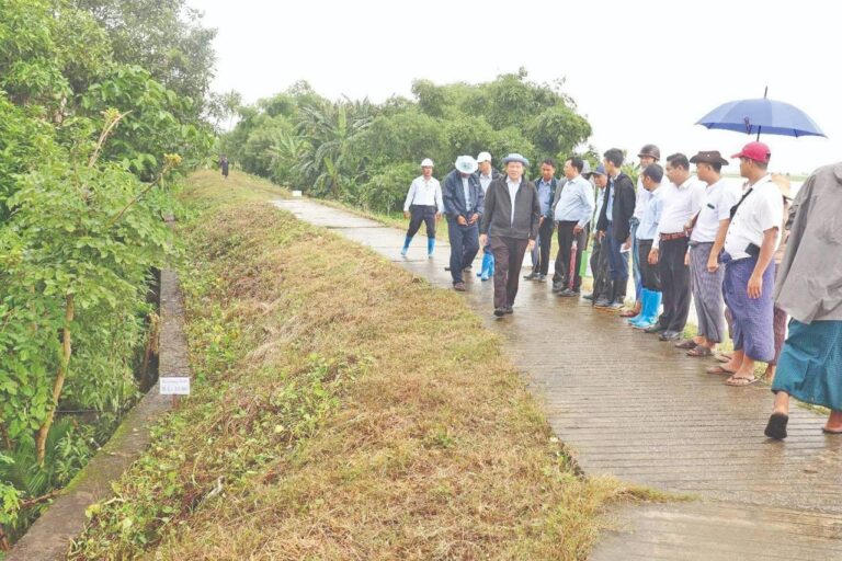 ရန်ကုန်နှင့် ပဲခူးတိုင်းဒေသကြီးအတွင်းရှိ တာတမံများကို ဘေးကင်း လုံခြုံမှုရှိစေရေး စစ်ဆေးဆောင်ရွက်