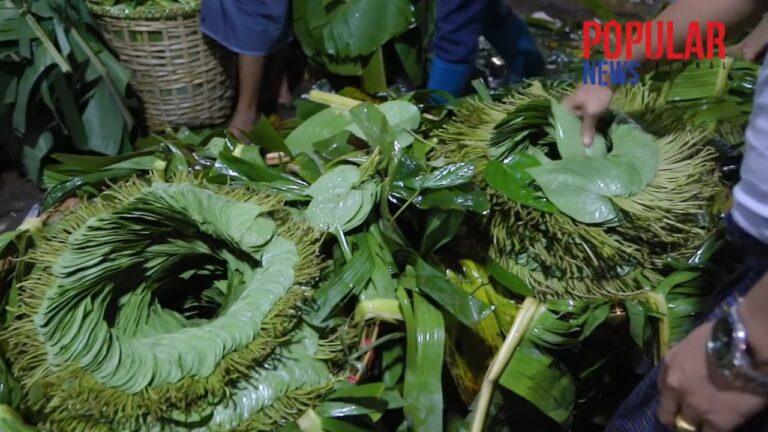 ကွမ်းရွက်တပိဿာ ကျပ် ၄၀,၀၀၀ အထိ ဈေးတက်လာ