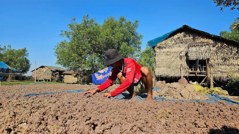 ဝယ်လိုအားများနေတဲ့လပွတ္တာဒေသထွက် မျှင်ငါးပိများ