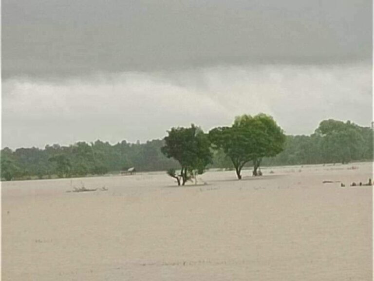 ရေကြီးရေလျှံမှုကြောင့် ကျုံပျော်တွင် မိုးစပါးစိုက်ဧက (၁၀,၀၀၀) ကျော် နစ်မြုပ်