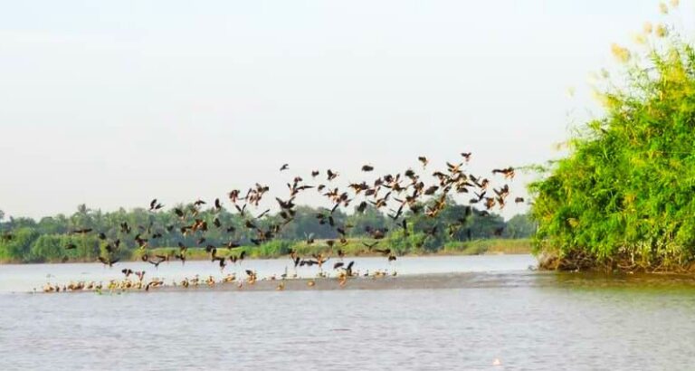 မိန်းမလှကျွန်း တောရိုင်းတိရစ္ဆာန်ဘေးမဲ့တောအတွင်း တာဝန်ရှိသူမှအပ မည်သူမျှ ဝင်ရောက်ခြင်း မပြုရန် ပြစ်မှုဆိုင်ရာကျင့်ထုံး ဥပဒေ ပုဒ်မ (၁၄၄)အရ အမိန့်ထုတ်ထား