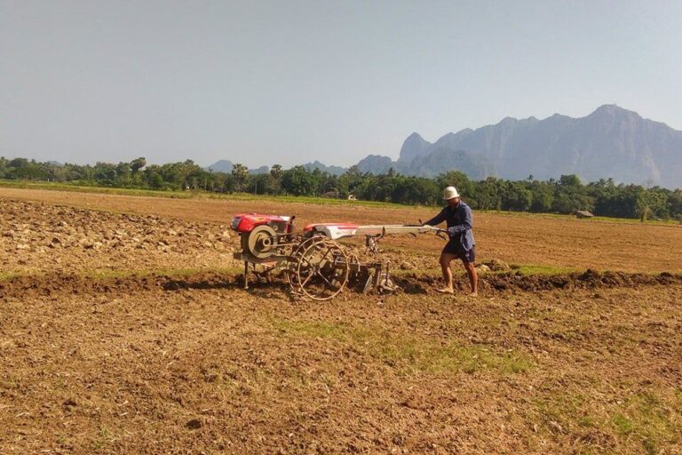 ကရင်ပြည်နယ်အတွင်း ရေနစ်မြုပ်မှုကြောင့် မိုးစပါးဧက ၂၃၁ ဧက ပျက်စီးခဲ့