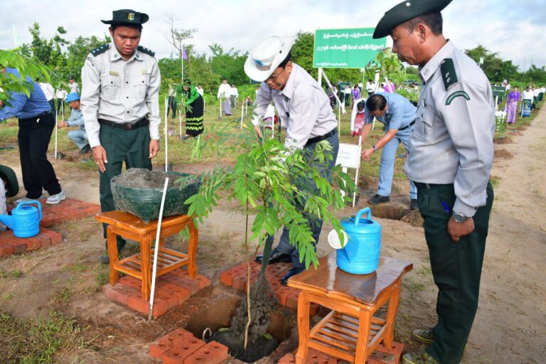 သစ်ပင်စိုက်ပွဲတော်များ၏ ရည်ရွယ်ချက်မှာ ဂေဟစနစ် ထိန်းသိမ်းနိုင်ရန်ဖြစ်