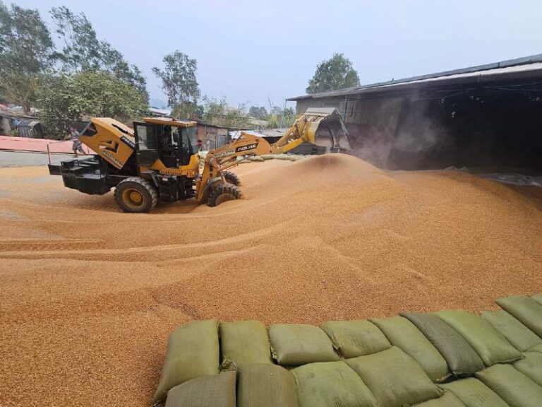 ထိုင်းနိုင်ငံသို့ အခွန်ကင်းလွတ်ခွင့်ဖြင့် ပြောင်းတန်ချိန် ၂ သန်းနီးပါးတင်ပို့ထား