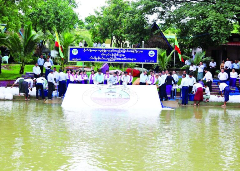 ၂၀၂၄-၂၀၂၅ ဘဏ္ဍာနှစ်၌ နှစ်လက်မအရွယ်ငါး၊ ပုစွန်သား ပေါက်ကောင်ရေ ၄၀၅ ဒသမ ၁၀ သိန်း မျိုးစိုက်ထည့်ရန်လျာထား