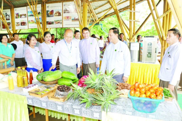 ဆီစက်လုပ်ငန်းရှင်များအား ငွေကျပ် ၄၆ ဘီလီယံကျော် ထုတ်ချေးရန်ကျန်ရှိနေသဖြင့် လျှောက်ထားနိုင်