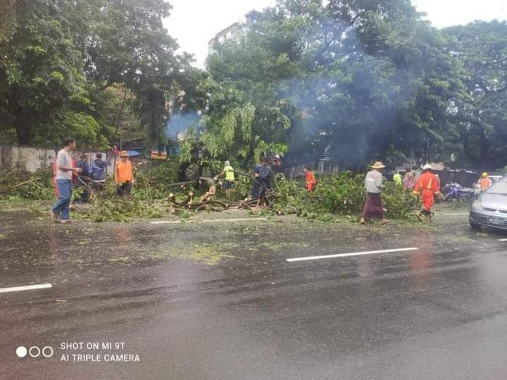 ကြည့်မြင်တိုင်၊ အထက်ကြည့်မြင်တိုင်လမ်းတွင် ကုက္ကိုပင် အမြစ်မှ ကျွတ်လဲကျကာ ကားလမ်းခေတ္တပိတ်ဆို့မှု ဖြစ်ပွား