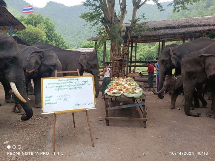 ခရီးသွားများလာရောက်အပန်းဖြေနိုင်ရန် ဝါးနက်ဆင်စခန်း ကြိုတင်ပြင်ဆင်ထား